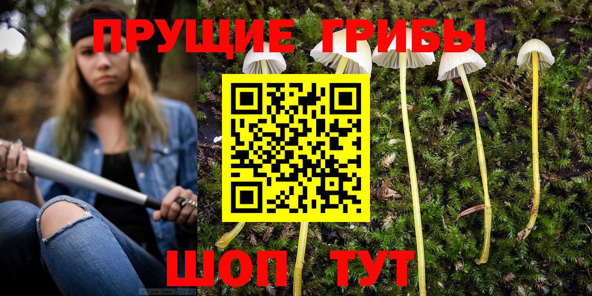 Псилоцибиновые грибы Psilocybe  Вход с VPN  Псилоцибиновые грибы Magic Shrooms  продажа наркотиков  Подольск 