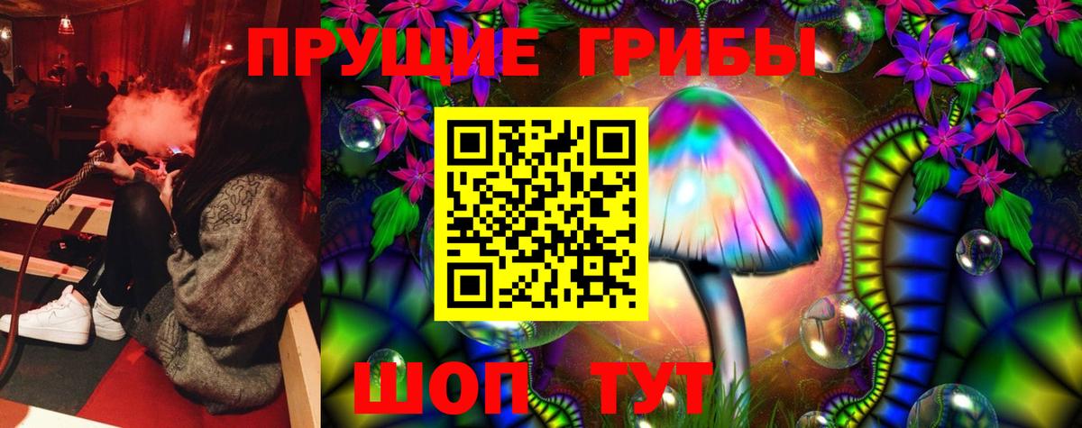 Галлюциногенные грибы Psilocybe Подольск