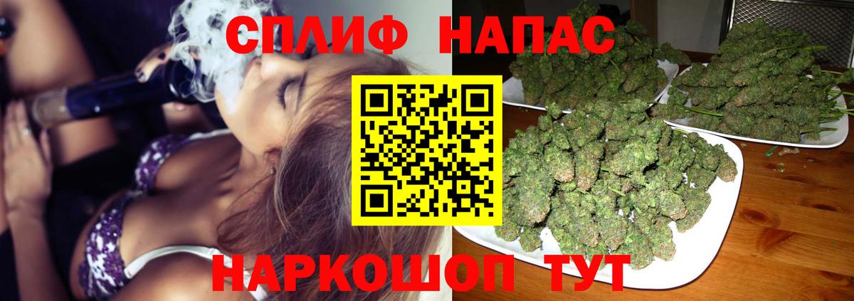 Каннабис тримм  Конопля ГИДРОПОН  Подольск  Вход с VPN 